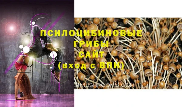 мескалин Покров