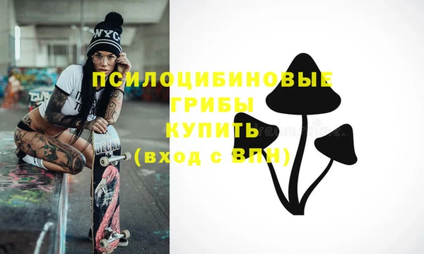 соль ск Бугульма