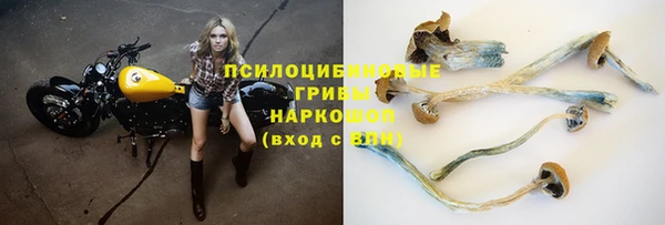 соль ск Бугульма