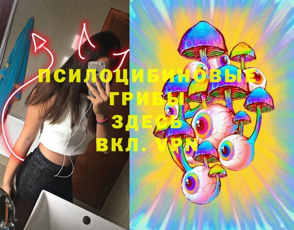 спиды Бородино