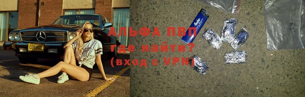 спиды Бородино
