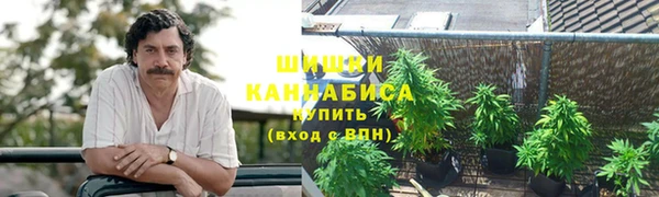 спиды Бородино