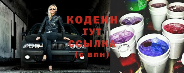 спиды Бородино