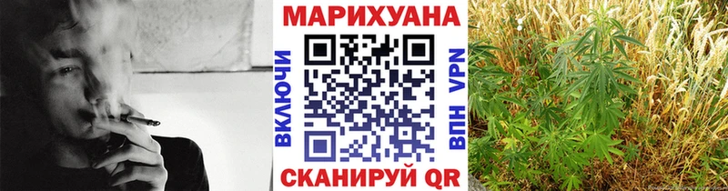 Бошки марихуана AK-47 даркнет наркотические препараты Новосокольники дарнет шоп